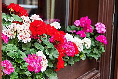 《消逝的光芒：困兽》将推热修复补丁 修复室内下雨问题